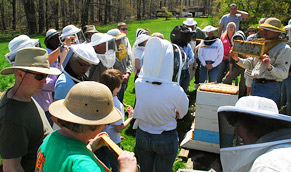 attendees at 2009 field day session